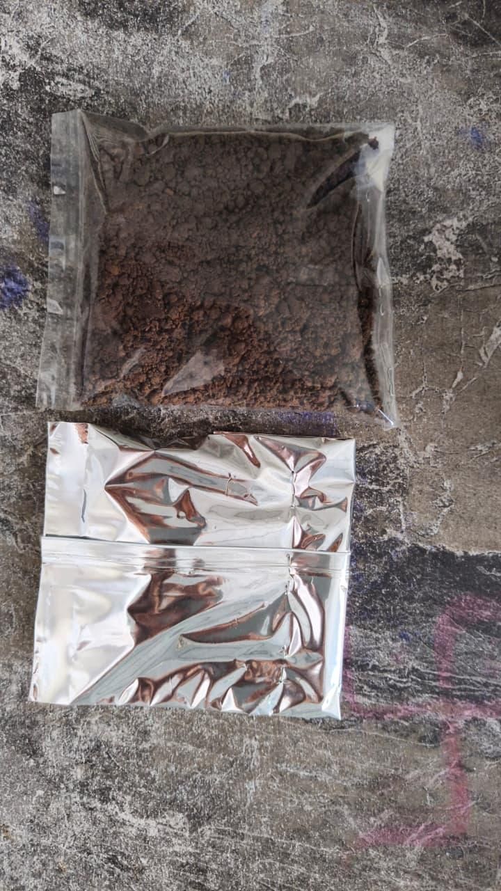 Eclipse Rose Seeds Pack of 1